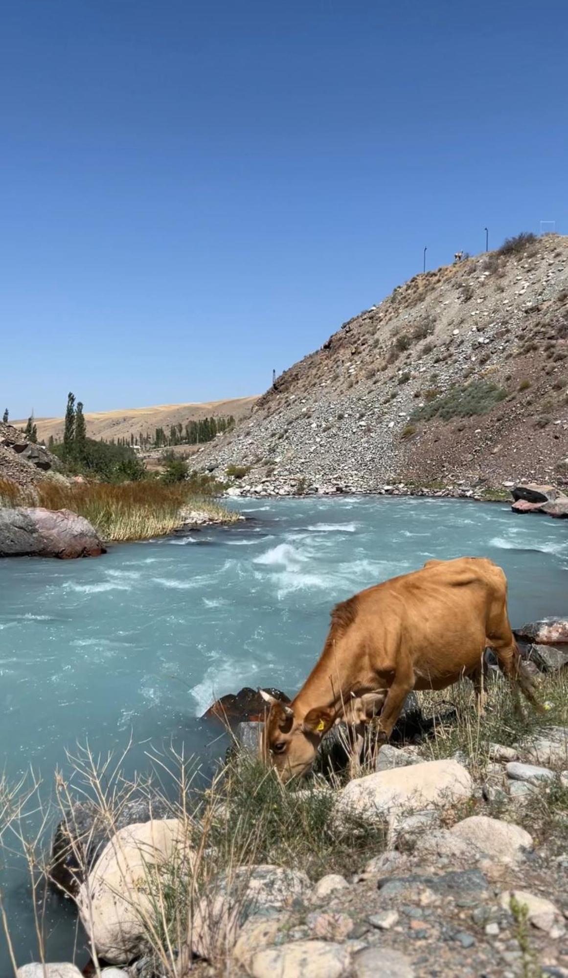 Mountain View Hot Spring Resort Бишкек Экстерьер фото